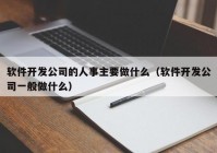 软件开发公司的人事主要做什么（软件开发公司一般做什么）