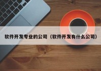 软件开发专业的公司（软件开发有什么公司）