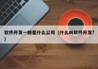 软件开发一般是什么公司（什么叫软件开发?）