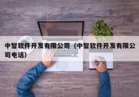 中智软件开发有限公司（中智软件开发有限公司电话）