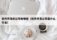 软件开发的公司有哪些（软件开发公司是什么行业）