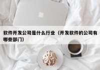 软件开发公司是什么行业（开发软件的公司有哪些部门）