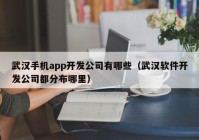 武汉手机app开发公司有哪些（武汉软件开发公司都分布哪里）