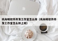 巩向明软件开发工作室怎么样（巩向明软件开发工作室怎么样上班）