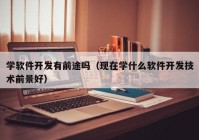 学软件开发有前途吗（现在学什么软件开发技术前景好）