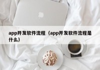 app开发软件流程（app开发软件流程是什么）