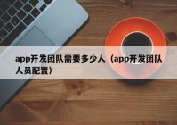 app开发团队需要多少人（app开发团队人员配置）