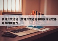 软件开发过程（软件开发过程中如何保证软件开发的质量?）