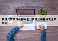 软件开发公司名称大全（软件公司名称大全集最新）