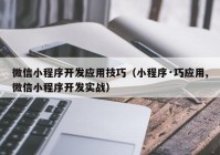 微信小程序开发应用技巧（小程序·巧应用,微信小程序开发实战）