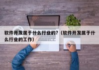 软件开发属于什么行业的?（软件开发属于什么行业的工作）