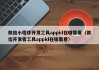 微信小程序开发工具appid在哪里看（微信开发者工具appid在哪里看）