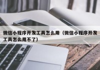 微信小程序开发工具怎么用（微信小程序开发工具怎么用不了）