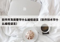 软件开发需要学什么编程语言（软件技术学什么编程语言）