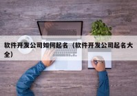 软件开发公司如何起名（软件开发公司起名大全）