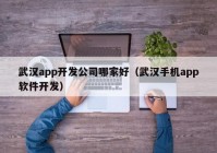 武汉app开发公司哪家好（武汉手机app软件开发）