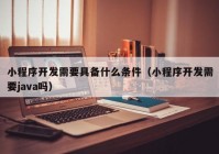 小程序开发需要具备什么条件（小程序开发需要java吗）